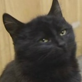 Анастасия Цвитайло, 04.04, Харьков