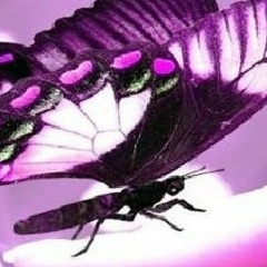 Елена Кузнецова, 21.02, Мурманск