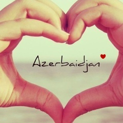 Togrul Nagizade, Шамкир