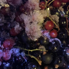 Дарья Горбунова, 05.11, Нововоронежский