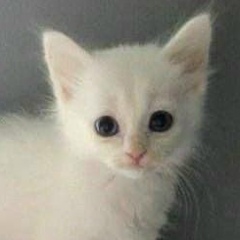 Рина Дождик, 23.07