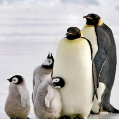 Альбина Сабирова, 25.03