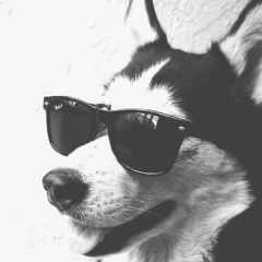 Алексей Вислобоков, 03.01.1990, Южно-Сахалинск