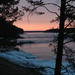 Никита Мишин, 10.10