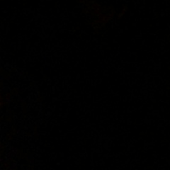 Михаил Прозоров