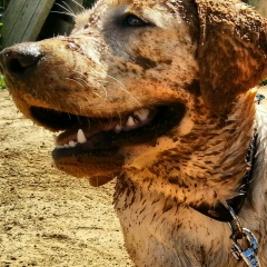 Анатолий Т, 19.02