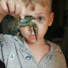 Владик Дмитриев, 02.09, Тирасполь