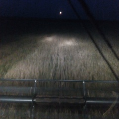 Дима Никитин, Суксун