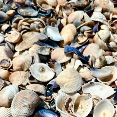 Евгения Полушкина, 04.12, Москва