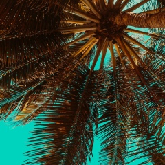 Бекжан Уалихан, 18.12.1992, Шымкент