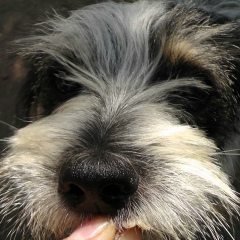 Сергей Гайдаш, 08.02.1901, Запорожье