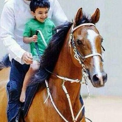 Толеубек Шаймерденов, 06.12