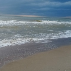 Таня Сумерина