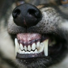 Серега Захарчук, 01.06.1987