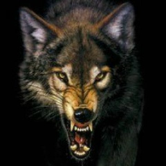 Talgat Uteshev, 15.02, Уральск