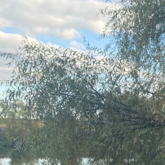 Женечка Чапаева, 06.10