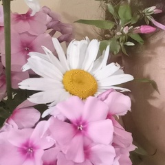 Елена Круткова, 30.04, Кострома