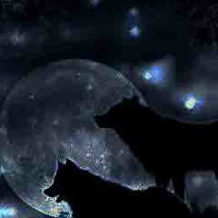 Сергей Гаврилов, 27.05, Санкт-Петербург