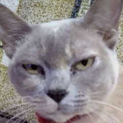 Татьяна Демидова, 05.06.1969, Днепр (Днепропетровск)