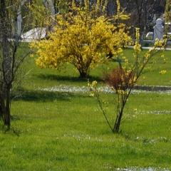 Роман Мадеев, 12.06