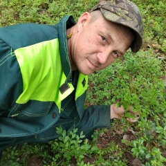 Юра Юрий, Луза