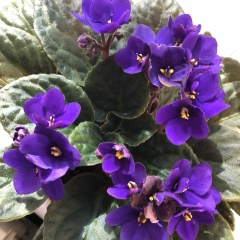 Гульнар Умитбаева, 19.01, Актау