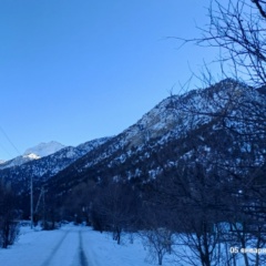 Светлана Федотова