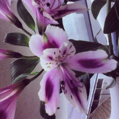 Ксения Назарова