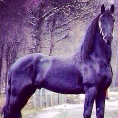 Арсен Устембай, 15.02.1993, Алматы