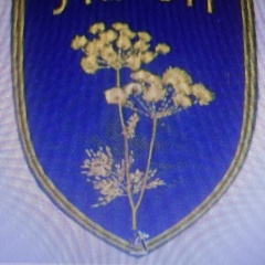 Андрій Шкуть, 30.04.1992, Чугуев