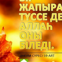 Алмагул Калбаева