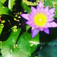 Анастасия Александрова, 05.02, Москва