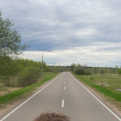 Сергей Архипов, 08.06, Москва