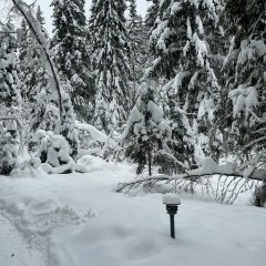 Ольга Валерьевна, Москва
