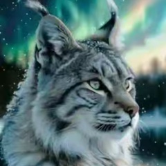 Фёдор Шульц, 03.12.1969, Санкт-Петербург