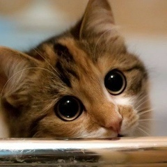 Динара Гелегова, 28.07.1987, Саратов