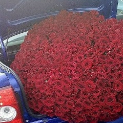 Чарим Калибатов, 20.07