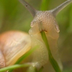 Сергей Минут, 25.03.1987, Санкт-Петербург