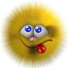 Андрей Шишкин, 17.12