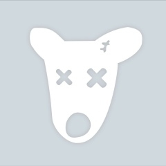 Алькуат Мамыткулов, 27.06, Тараз