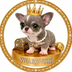 Ирина Петровская, Москва