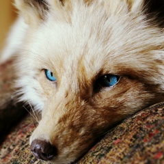 Екатерина Боровик, 29.09, Москва