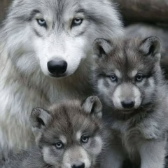 Александр Давыдов, 07.02.1978, Орёл