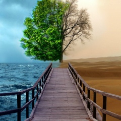 Мади Нусипжан, 12.05, Алматы