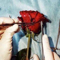 Ксения Святковская, 11.09, Санкт-Петербург