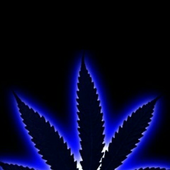 Адам Ахмадов, Москва