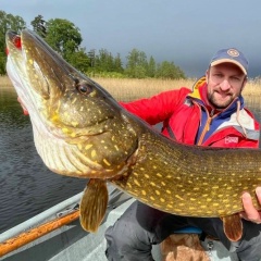 Гарри Невельский, 07.05, Санкт-Петербург