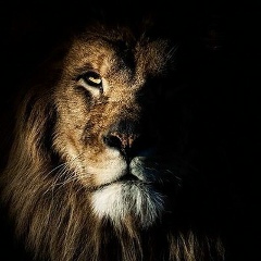 Мадияр Дюсебеков, 05.08.1989, Астана