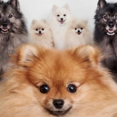 Айгерим Саденова, 17.05.1904, Шымкент