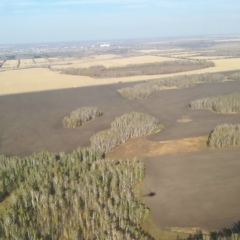 Дмитрий Громов, 19.04.1983, Омск